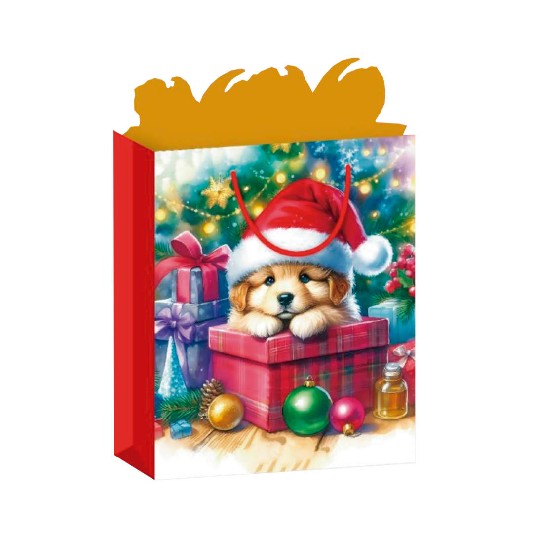 Bolsa para regalo (Gigante 1)