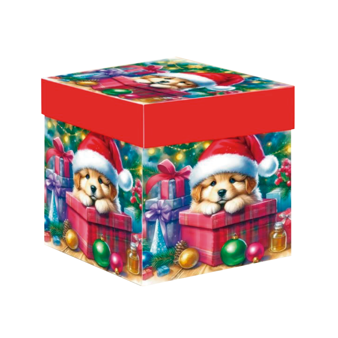 Cubo (Navidad 1)