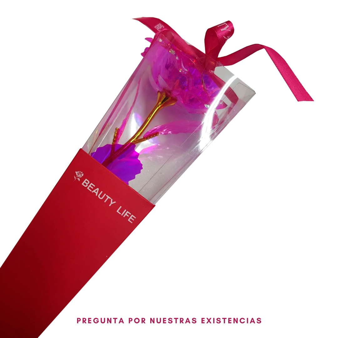 Rosa en cono