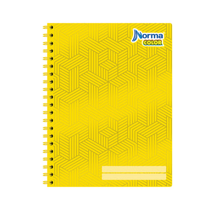 Cuaderno argollado profesional Color