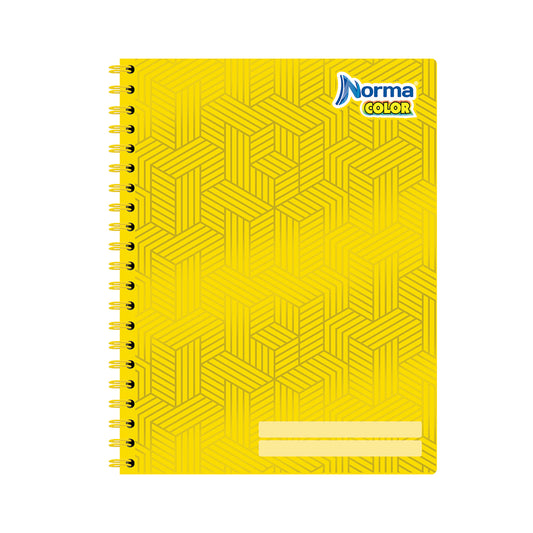 Cuaderno argollado profesional Color