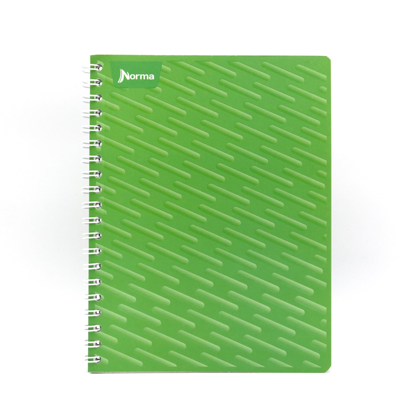 Cuaderno argollado profesional 100H