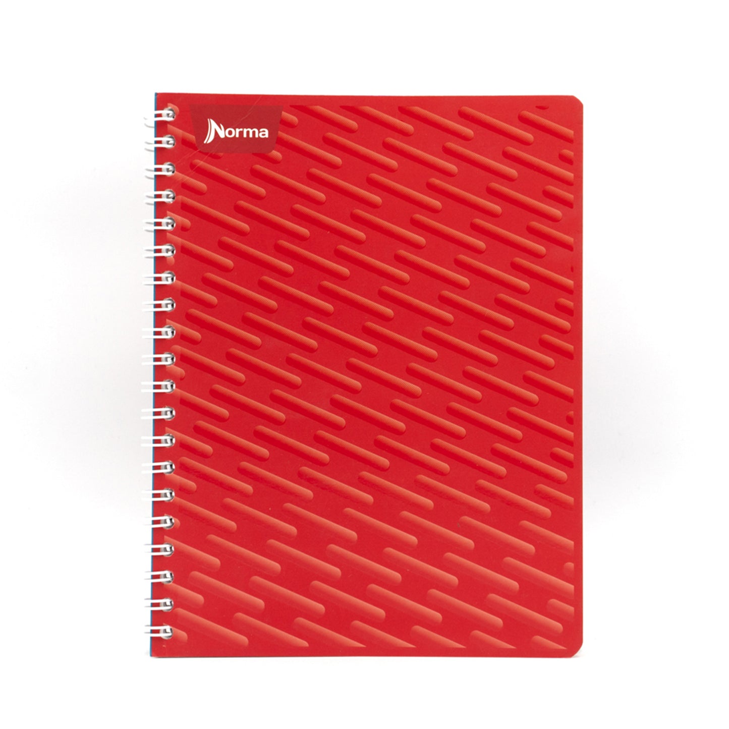 Cuaderno argollado profesional 100H