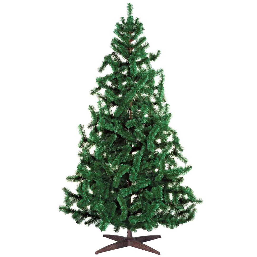 Árbol Mediterráneo Verde