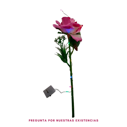 Estuche una rosa con luz