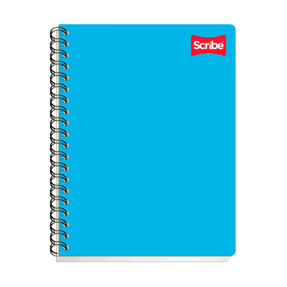 Cuaderno profesional (Clásico) 2180 Scribe
