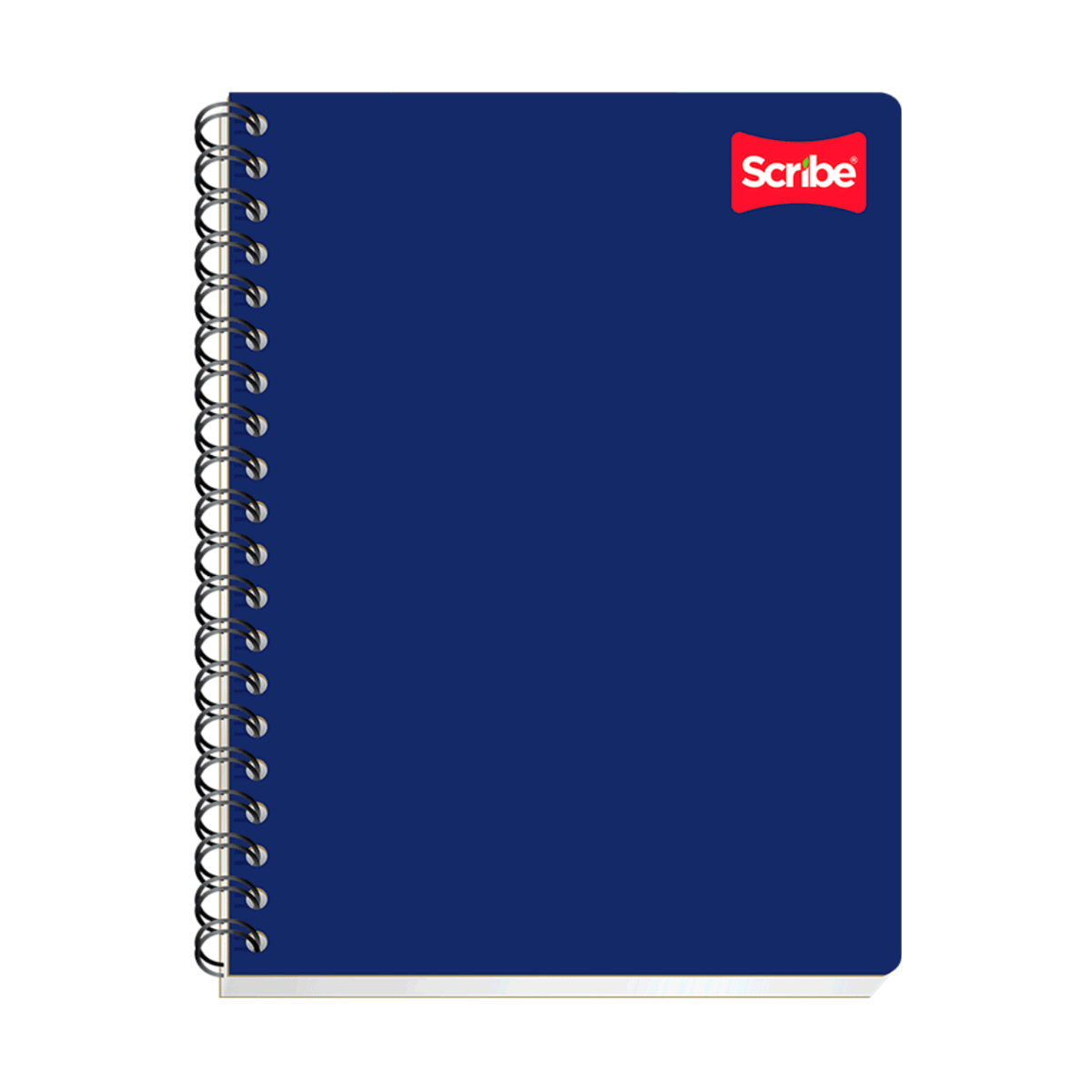 Cuaderno profesional (Clásico) 2180 Scribe
