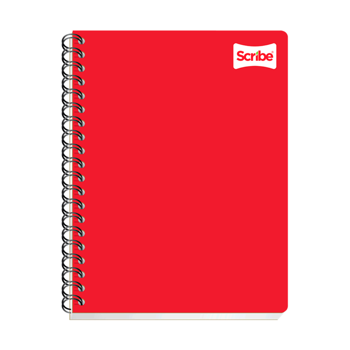 Cuaderno profesional (Clásico) 2180 Scribe