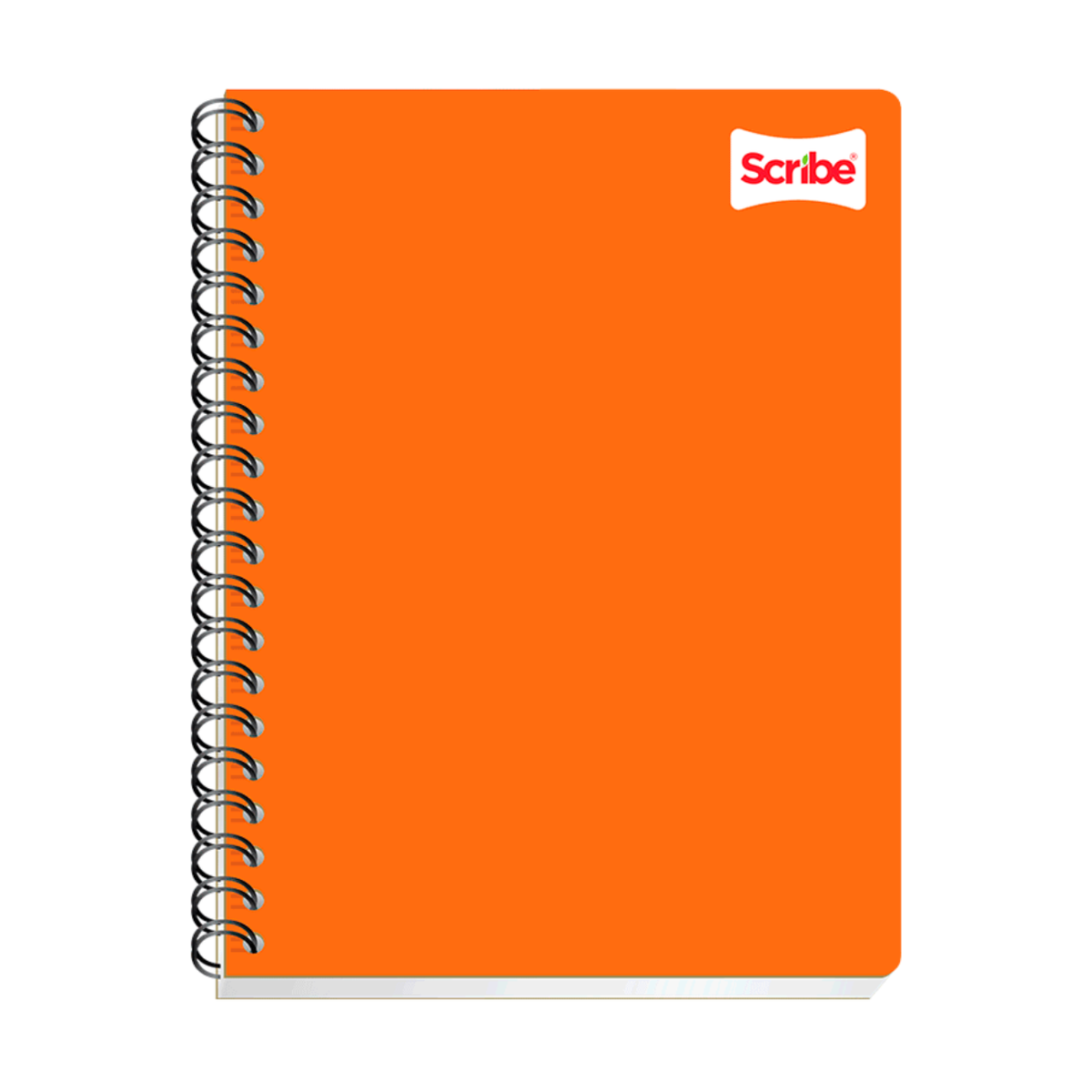 Cuaderno profesional (Clásico) 2180 Scribe