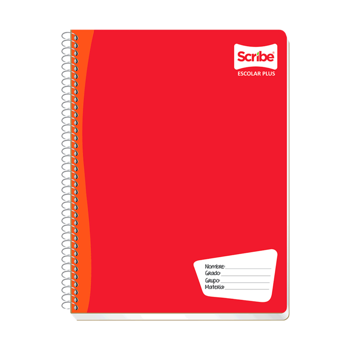 Cuaderno profesional (Escolar) 2530 Scribe